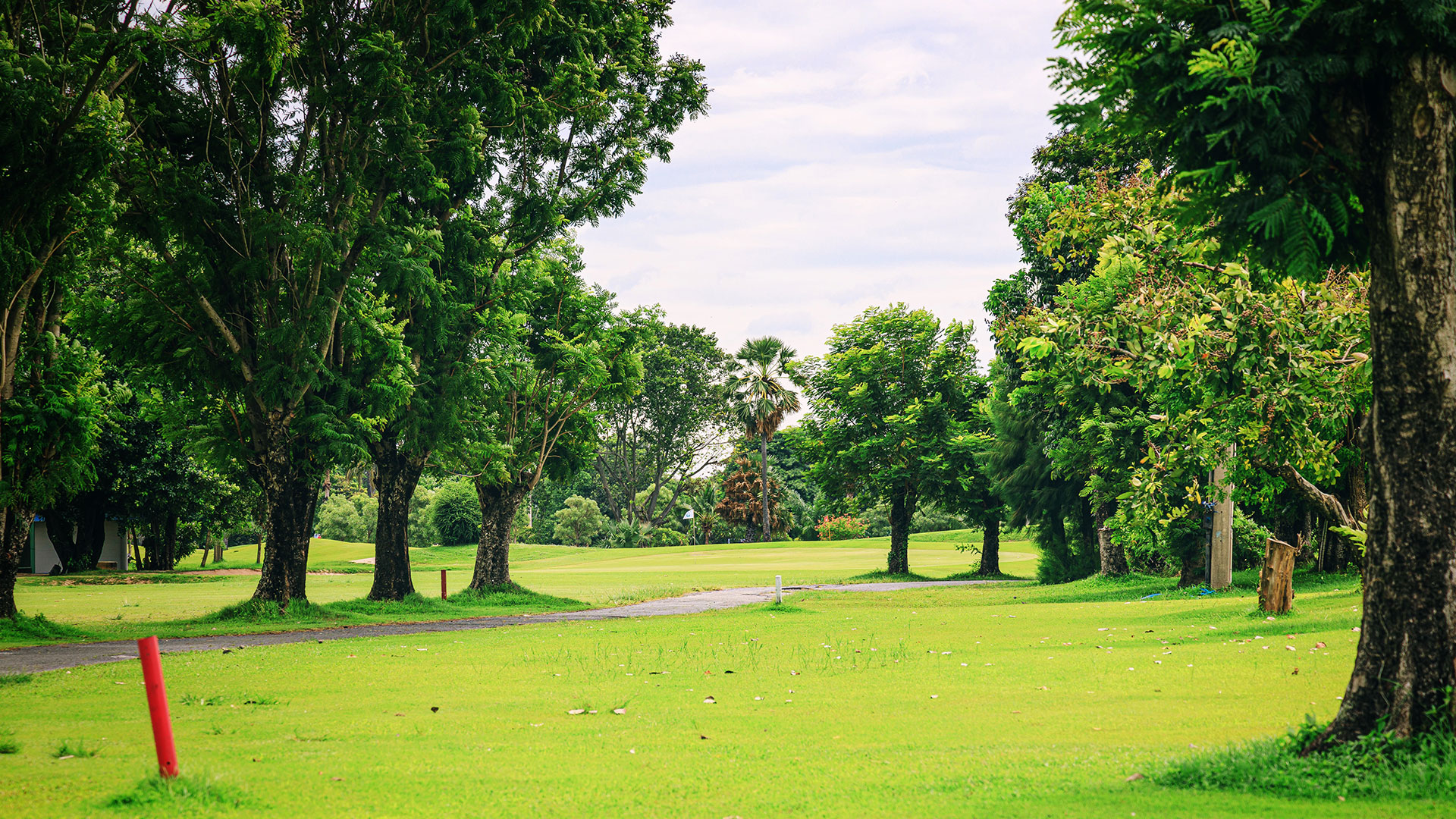 Home - RSU VISTA GOLF COURSE